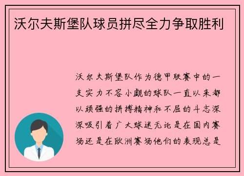 沃尔夫斯堡队球员拼尽全力争取胜利