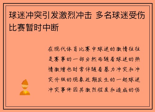 球迷冲突引发激烈冲击 多名球迷受伤比赛暂时中断